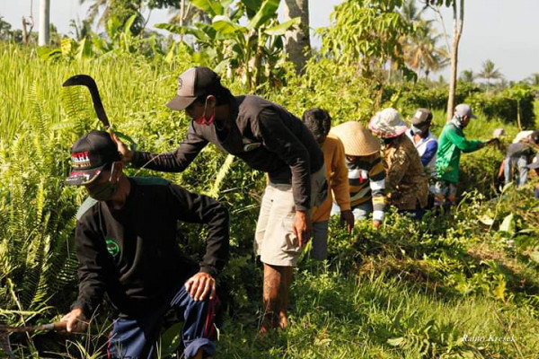 Pelaksanaan Program Padat Karya Tunai - Dana Desa (PKTD-DD) / 26062020