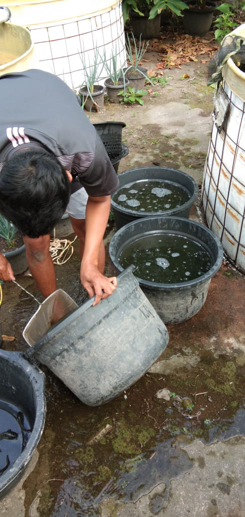 KEGIATAN KELOMPOK IKAN MINA MAKMUR ABADI