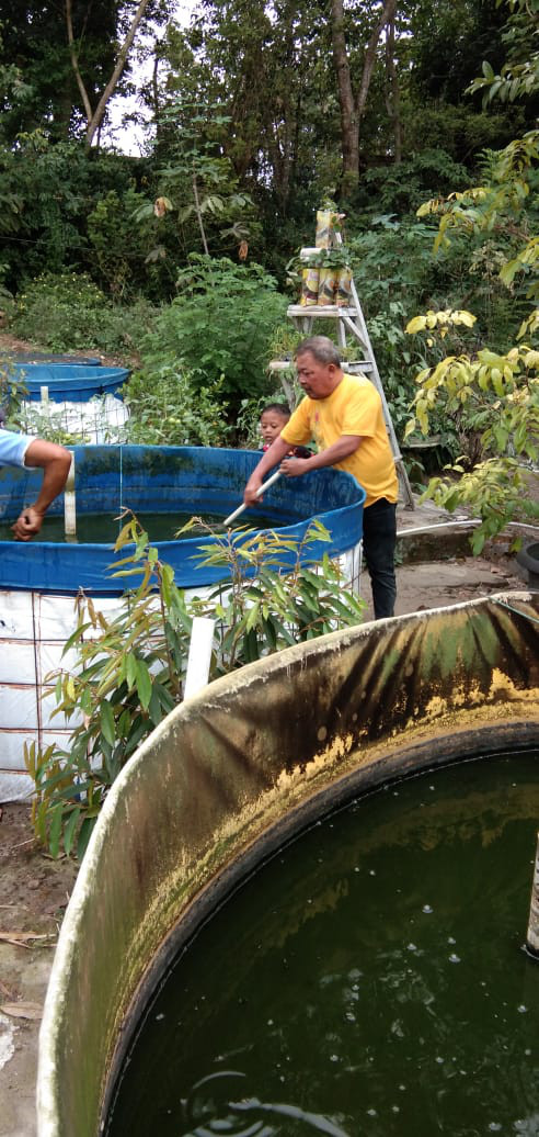 KEGIATAN KELOMPOK IKAN MINA MAKMUR ABADI