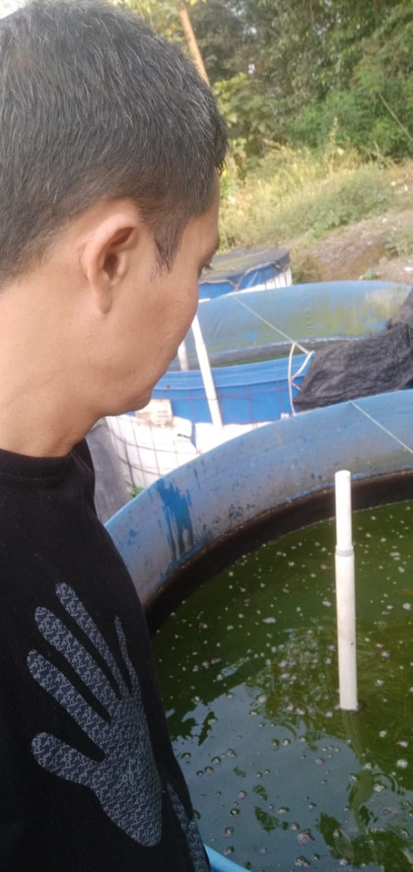 KEGIATAN KELOMPOK IKAN MINA MAKMUR ABADI