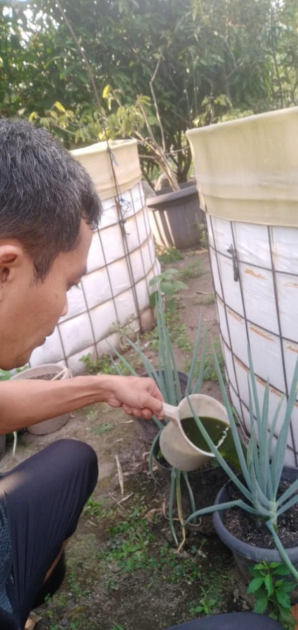 KEGIATAN KELOMPOK IKAN MINA MAKMUR ABADI / SIRAM SAYURAN