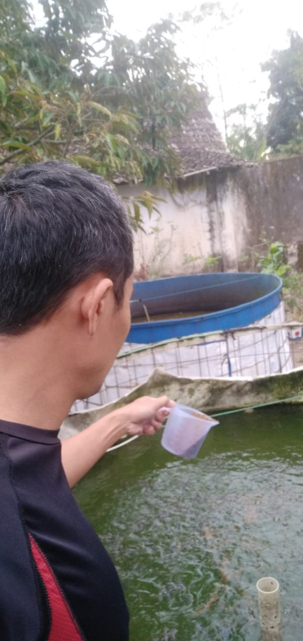 KEGIATAN KELOMPOK IKAN MINA MAKMUR ABADI