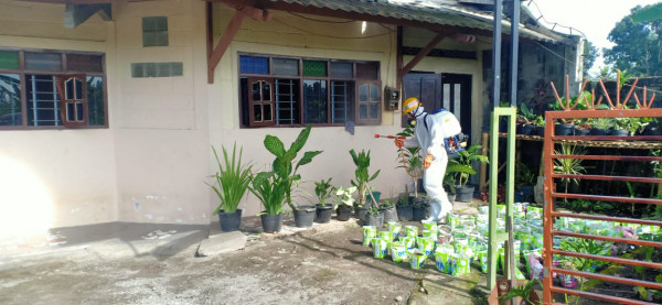 KEGIATAN SATGAS COVID 19 KALURAHAN PAKEMBINANGUN