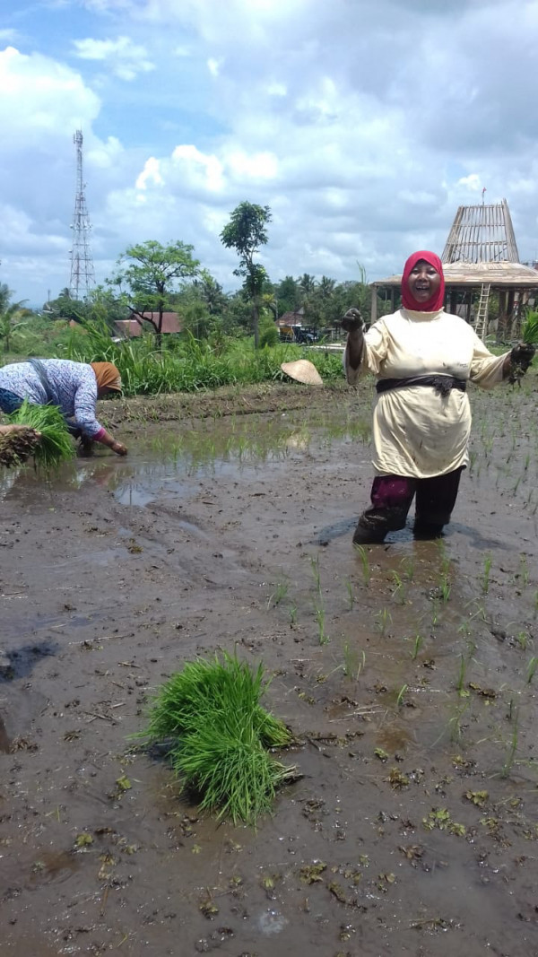 KEGIATAN KELOMPOK TANI RT 8 KERTODADI