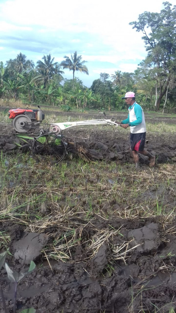 KEGIATAN KELOMPOK TANI RT 8 KERTODADI