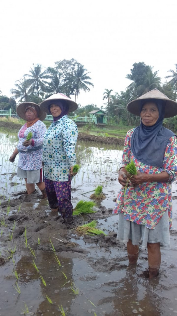 KEGIATAN KELOMPOK TANI RT 8 KERTODADI