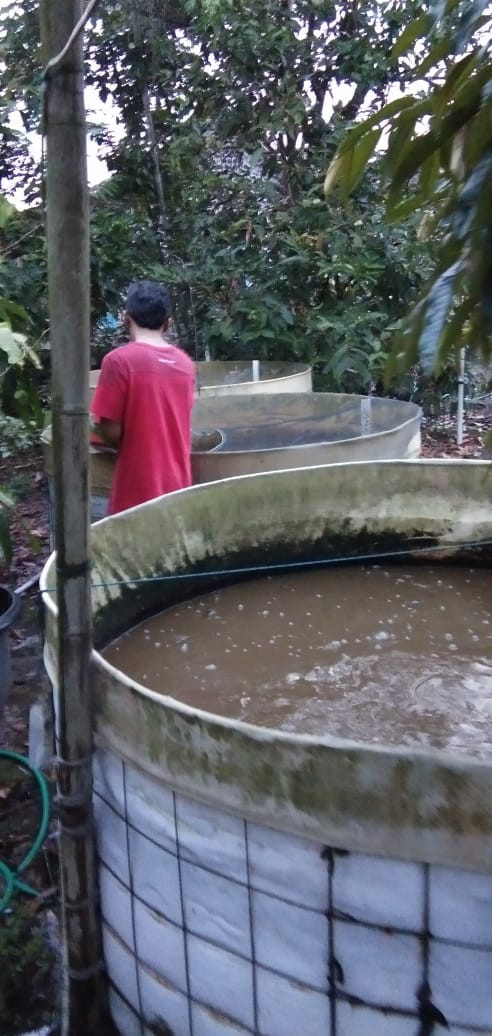 KEGIATAN KELOMPOK IKAN MINA MAKMUR ABADI