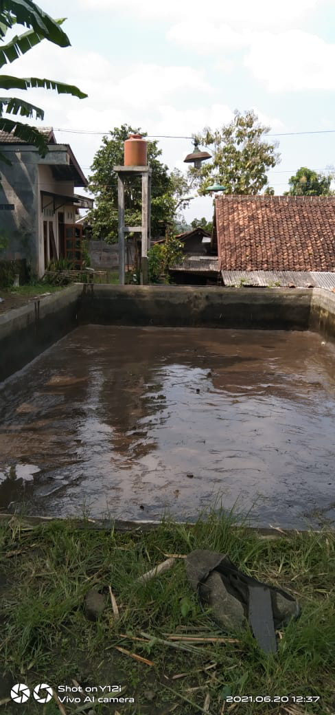 KEGIATAN KELOMPOK IKAN MINA MAKMUR ABADI