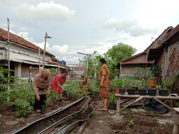 Kerja bakti memelihara tanaman toga dan sayur rt 37,kkb rw 12