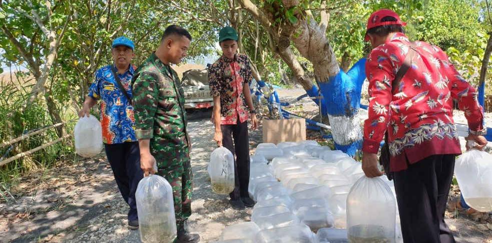 Benih ikan akan di lepas di sungai