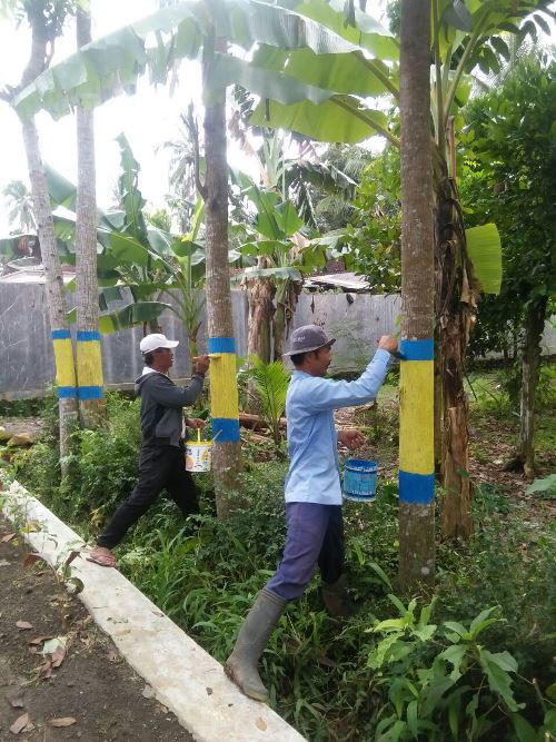 Proses Pengecatan oleh warga