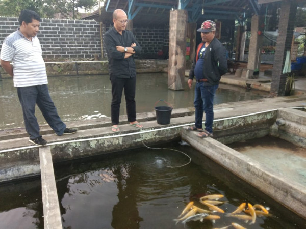 Kegiatan Peningkatan Kualitas Budi Daya Ikan Air Tawar Dalam Peningkatan Ekonomi di Kampung KB