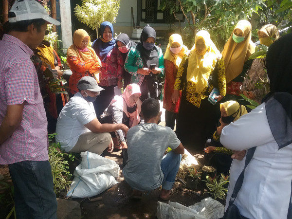 Pelatihan Budidaya Tanaman Hias Melalui Musyawarah Pokja Kampung KB