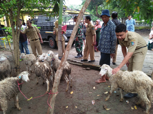 Petugas mengecek nomor hewan