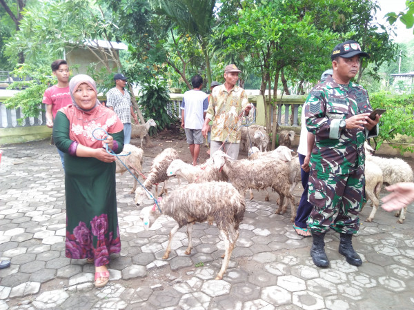 Masyarakat menerima bantuan kambing sejumlah 3 ekor