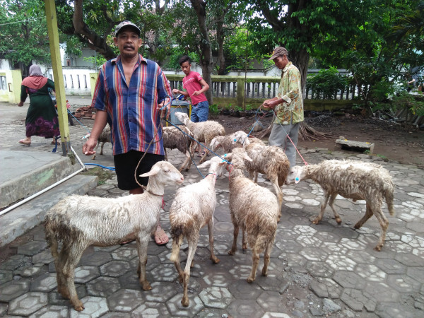 Setelah menerima, masyarakat diharapkan merawat bantuan ternak dengan baik