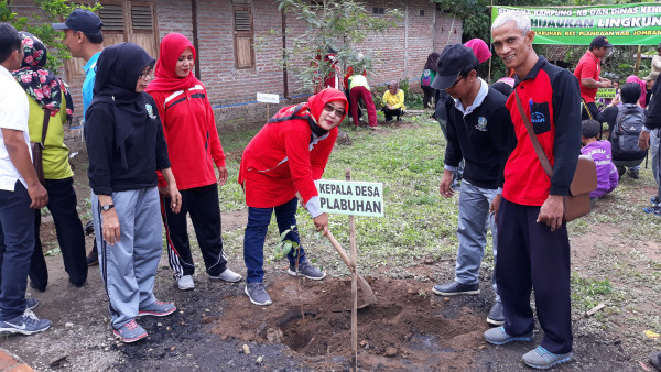 Penanaman Bibit Tanaman Kayu-kayuan dalam rangka Kegiatan Kampung KB bersama Dinas Kehutanan Menghijaukan Lingkungan