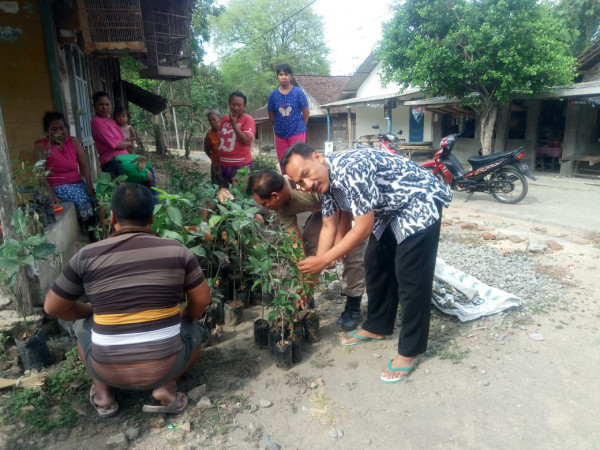 Penyerahan dan penanaman bibit di Dusun Sumberpelas