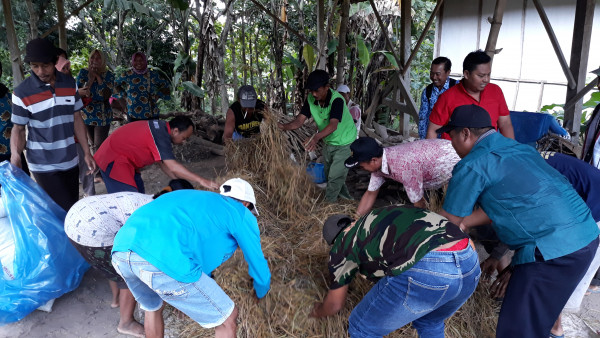 Pembuatan Pakan Ternak Fermentasi