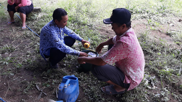 Proses pembuatan larutan gula dan EM-4