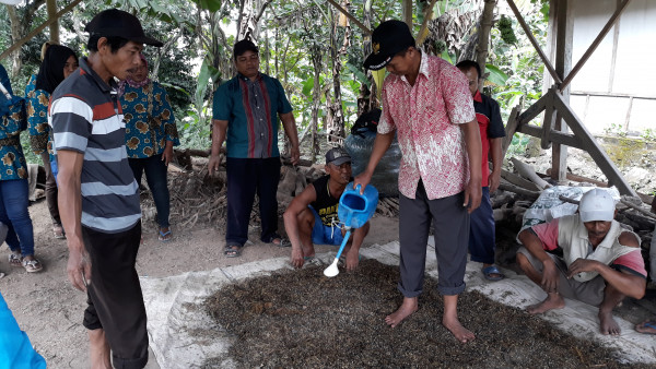 Proses penyiraman bahan memakai larutan gula dan EM-4