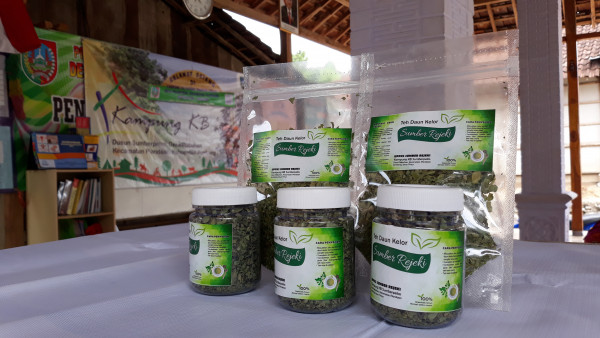 Produk Teh Herbal Daun Kelor