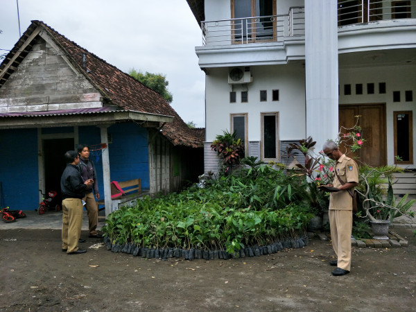 Bibit tanaman kayu-kayuan dari BPDAS Brantas Mojokerto