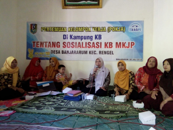 Pertemuan Pokja Kampung KB Desa Banjararum