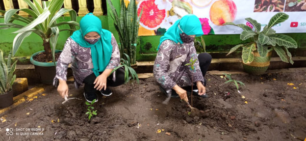 LAUNCHING  TAMAN BELAJAR BUAH-BUAHAN