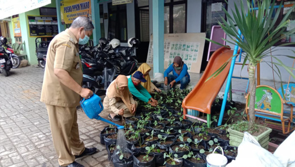 PENILAIAN URBAN FARMING DI KELURAHAN BUNULREJO