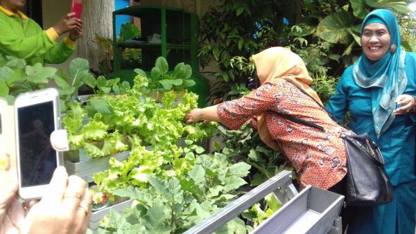 Lomba Pemanfaatan Tanah Pekarangan