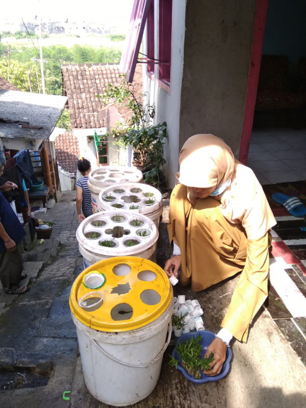 Pembinaan Kelompok Urban Farming