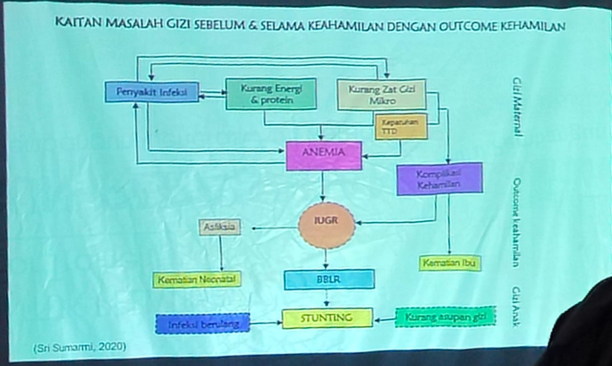 "Materi pembekalan "