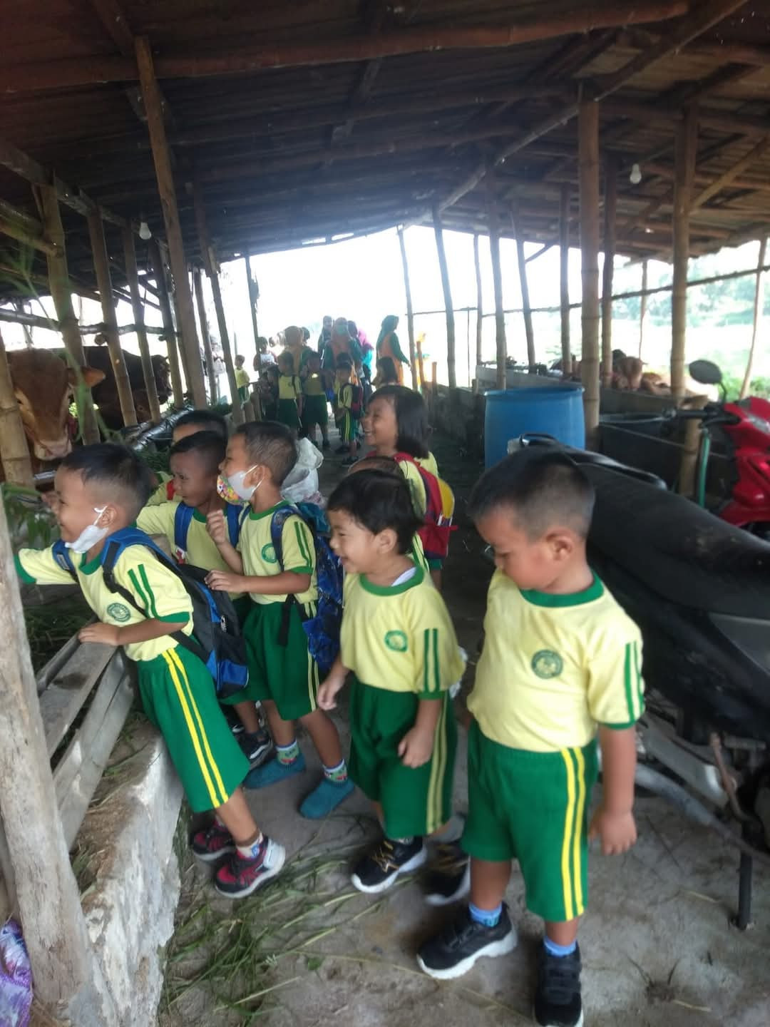 Pembelajaran PPT bintang