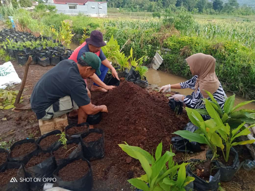 Kerja bakti P2L kegiatan menanam sayur