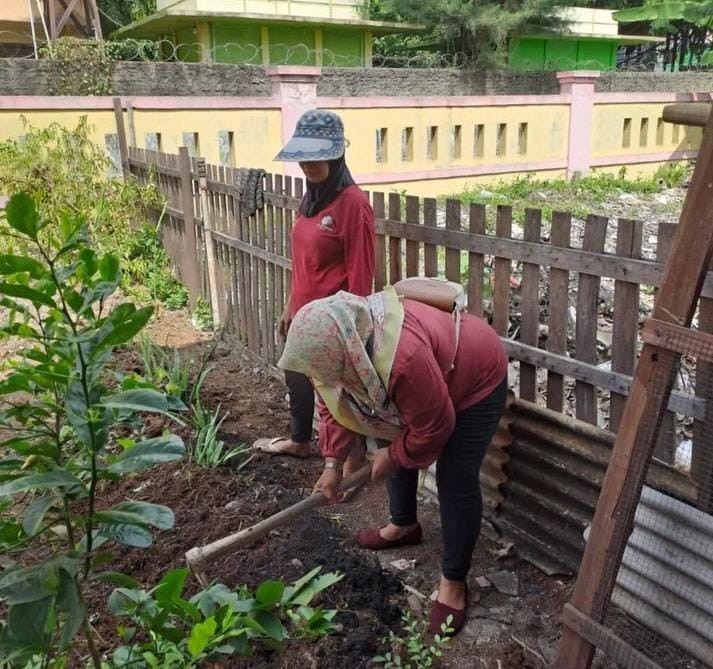 giat menanam cabe