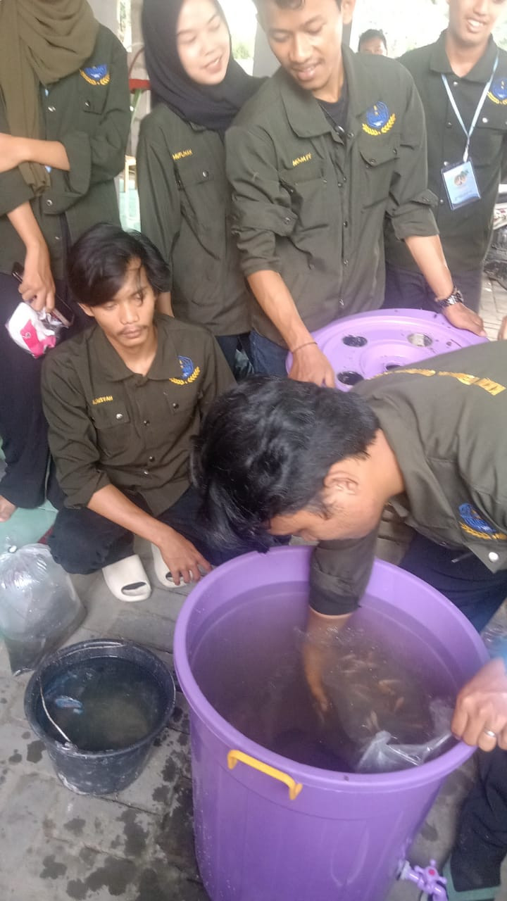 Pembudidayaan ikan Mas oleh mahasiswa Untirta