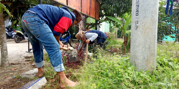 Bersihin Rumput Liar