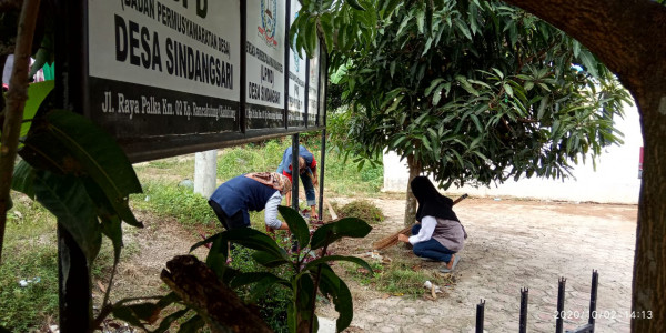 Membersihkan Rumput liar