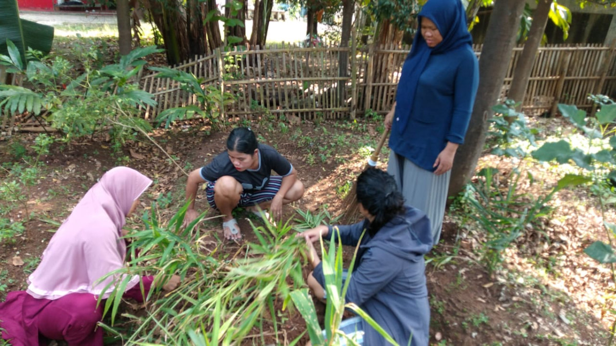 Kerja Bakti membersihkan Kebun Toga Jahe yang dilakukan Kader toga Jahe Neroktog