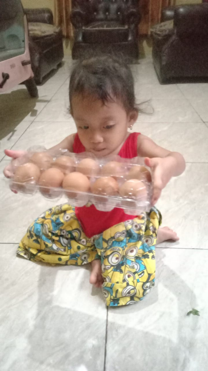 Program  Endog Kepiting untuk Baduta KRS