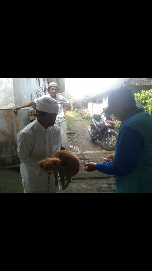 Pelayanan Vaksinasi rabies di wilayah kampung KB