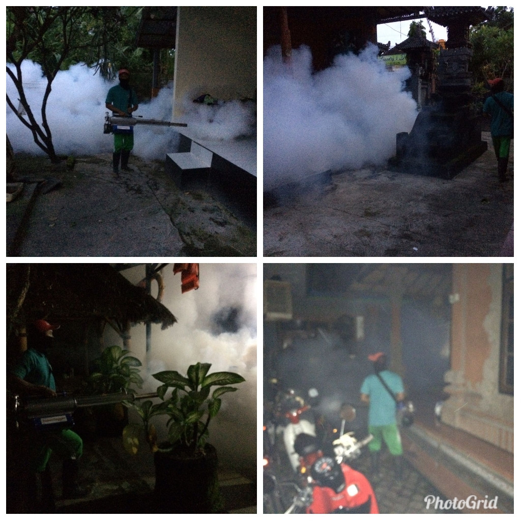 kegiatan Fogging atau penyemprotan Sarang Nyamuk Di Desa Dalung