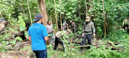 Pemetaan Lokasi Penanaman Hutan