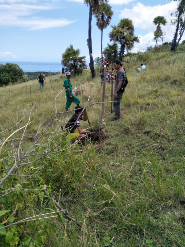 Rehabilitasi kawasan hutan