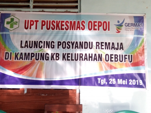 LOUNCHING POSYANDU REMAJA