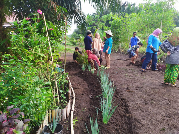 Tanaman Obat Keluarga Desa Mekar Jaya