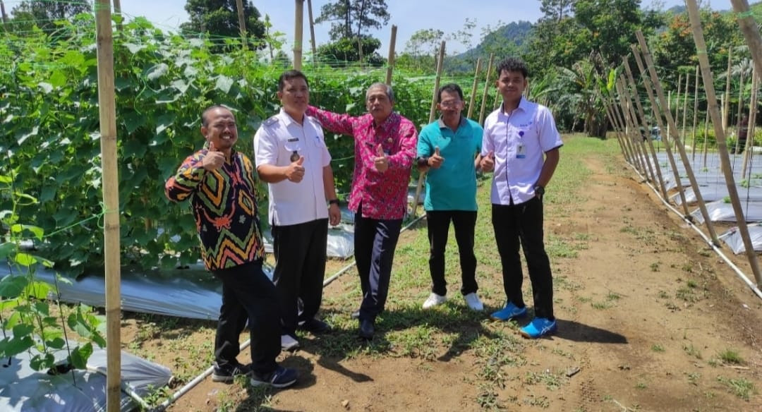 Meninjau hasil Kebun Pekarangan milik Kelompok UPPKA "MEKAR SARI" Kampung KB Pawis Bersinar