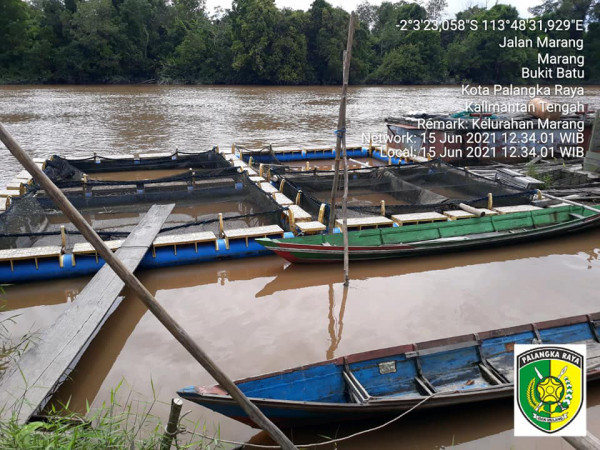 Budidaya Ikan Baung Ciptakan Ketahanan Pangan Bidang Perikanan di Kampung KB Marang