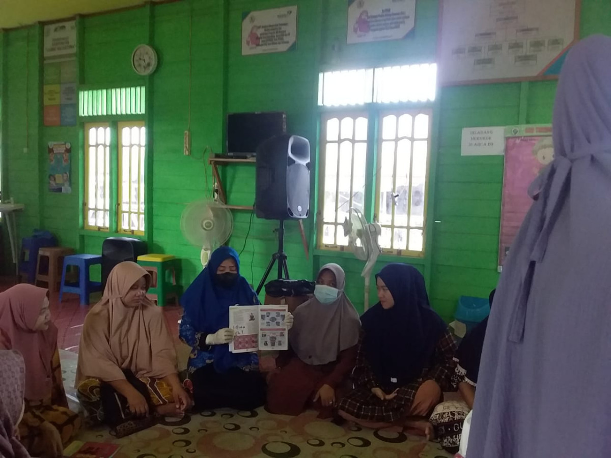 Sosialisasi ibu hamil di desa kampung KB jambu